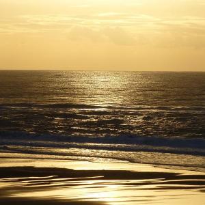 Lincoln City